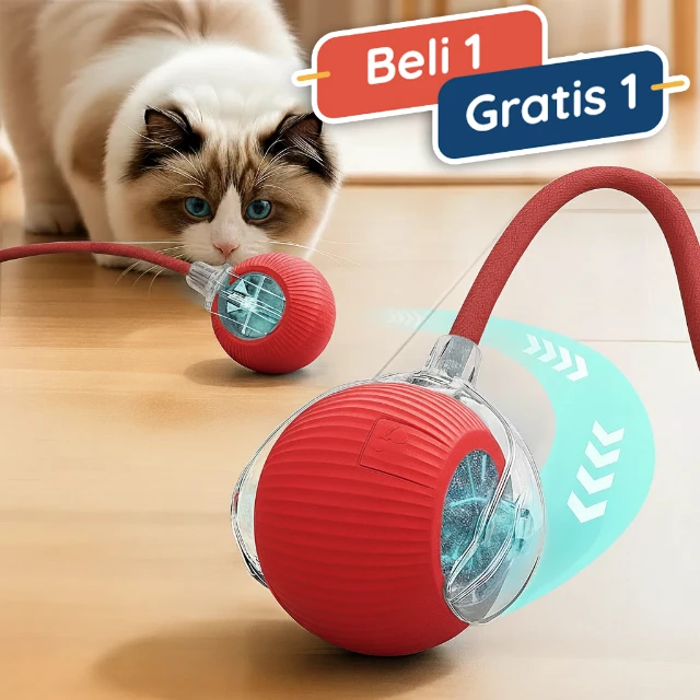 1759246664382-Beli-1-Gratis-1