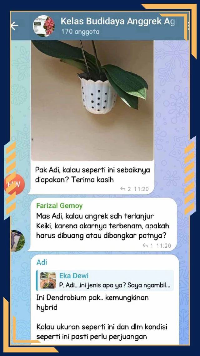 1753156529629-testimony frame-9-01.webp