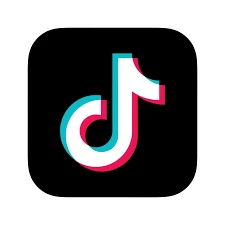 1754916780980-tiktok icon