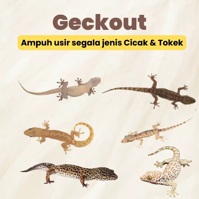 1759762533328-1756432989985-4