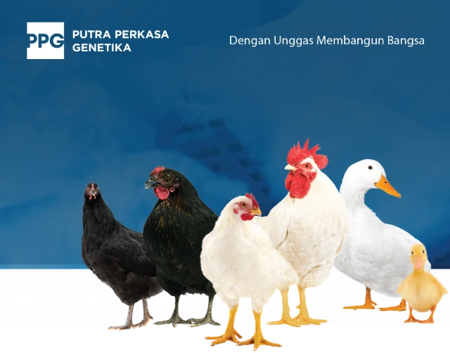 1751603799776-1000235300