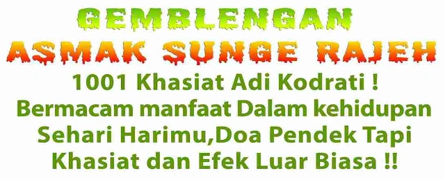 1752068454327-2-4-mbahsalim-asmak-sunge-rajeh