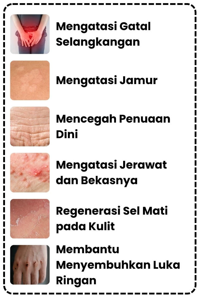 1754451484120-Iklim Tropis (6)