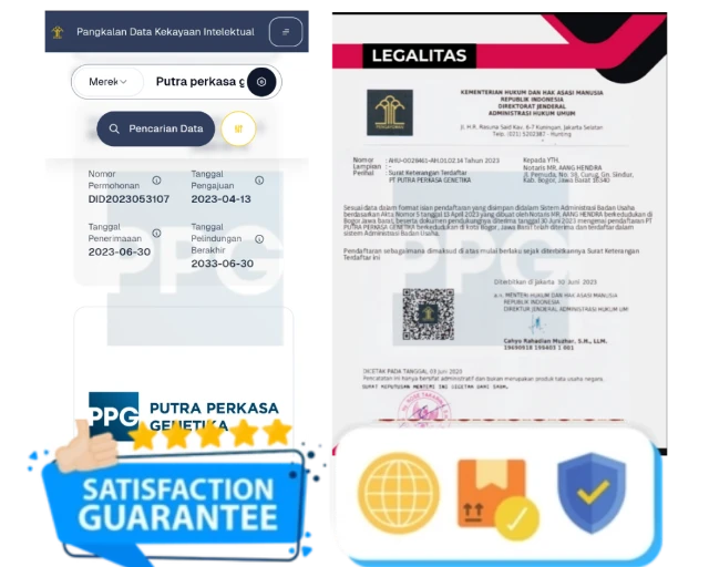 1751642368233-1000235479