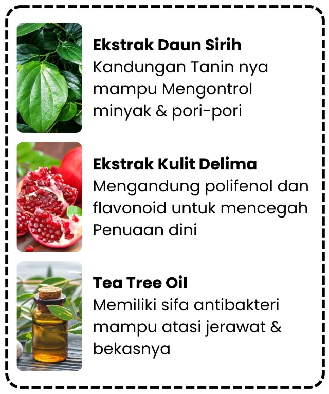 1754454101703-Iklim Tropis (8)