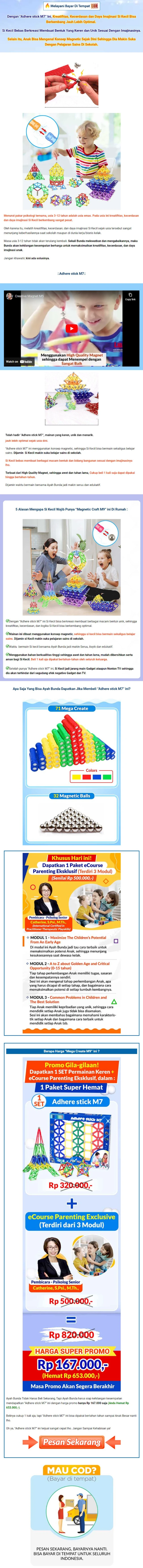 1755699906132-Magnetic Stick Ball - Copy