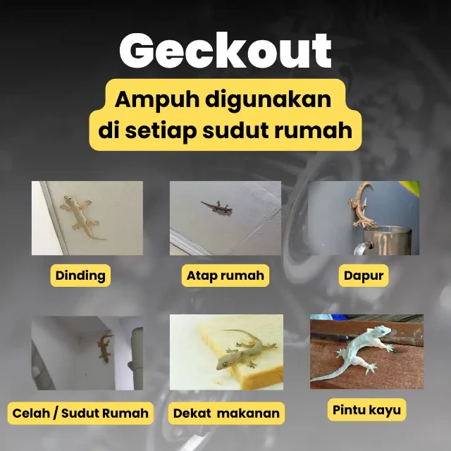 1759762589649-1756432979499-3