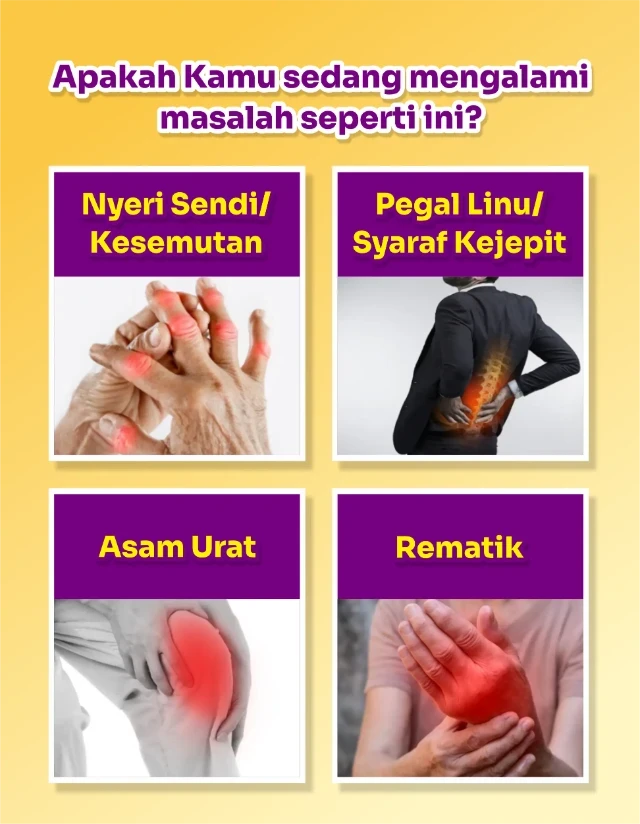 1758181681994-1740126988805-LP_PrimaGold_2025-02