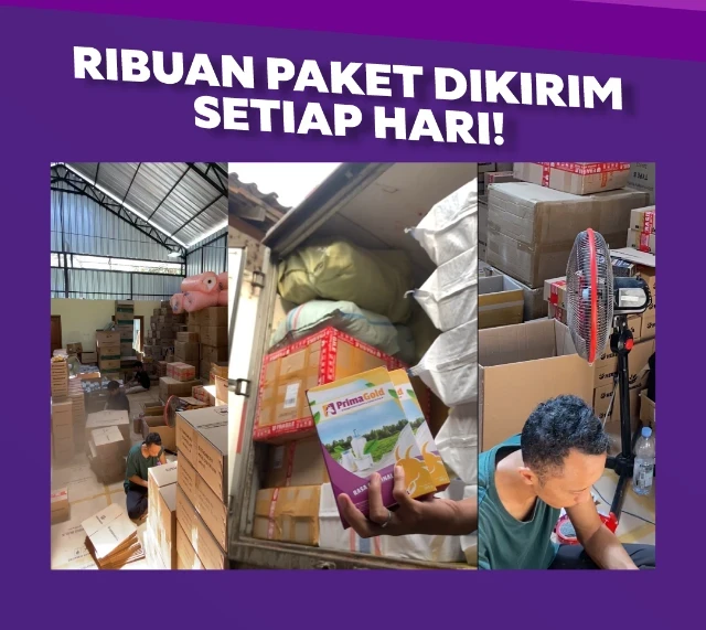 1757660108771-1751894588534-FSL03 - LANDING PAGE - PRIMAGOLD HEADLINE 1-08