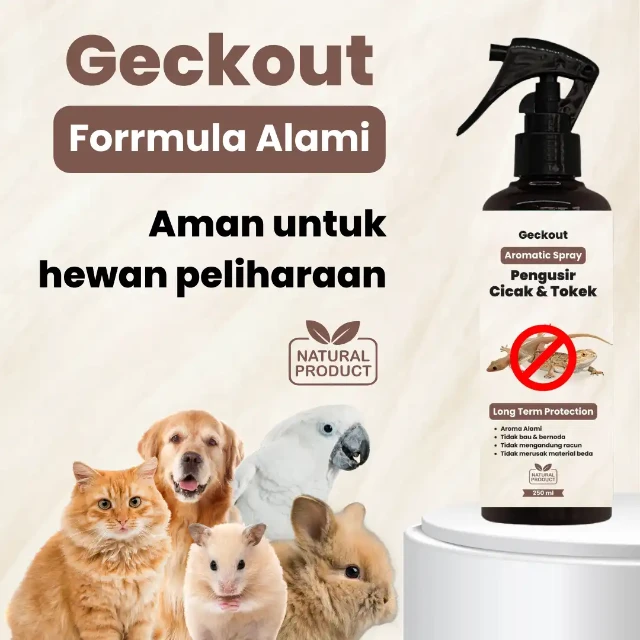 1759762552625-1756433000916-5