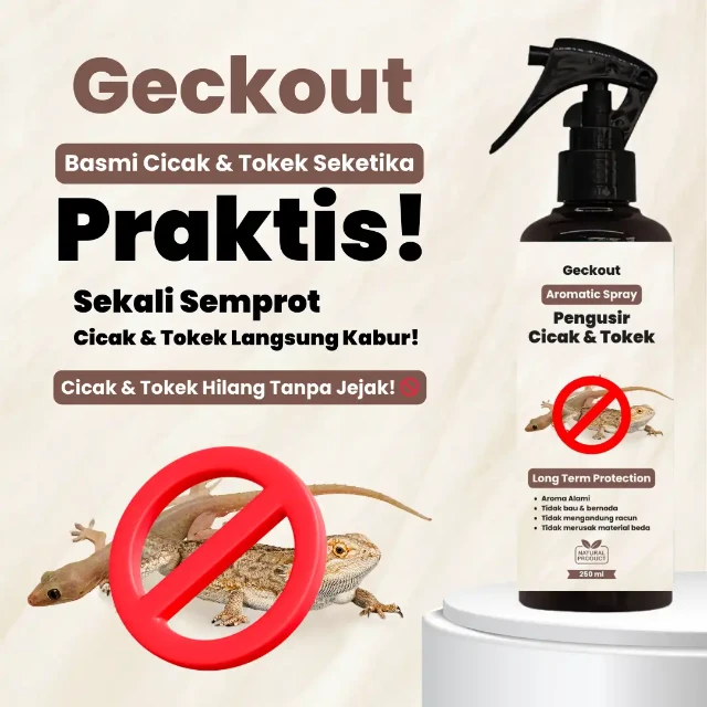 1759762274053-1756432931294-1 (2)