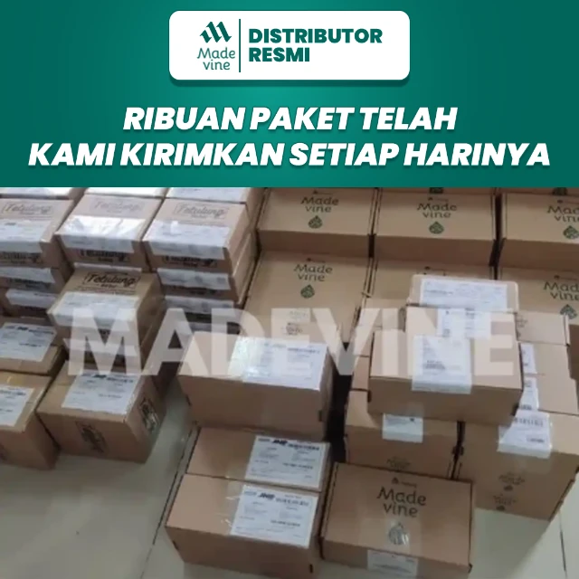 1756097913785-Artboard 2.webp