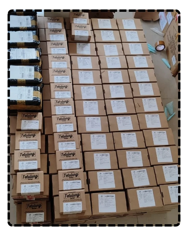 1754623839398-Iklim Tropis (11)