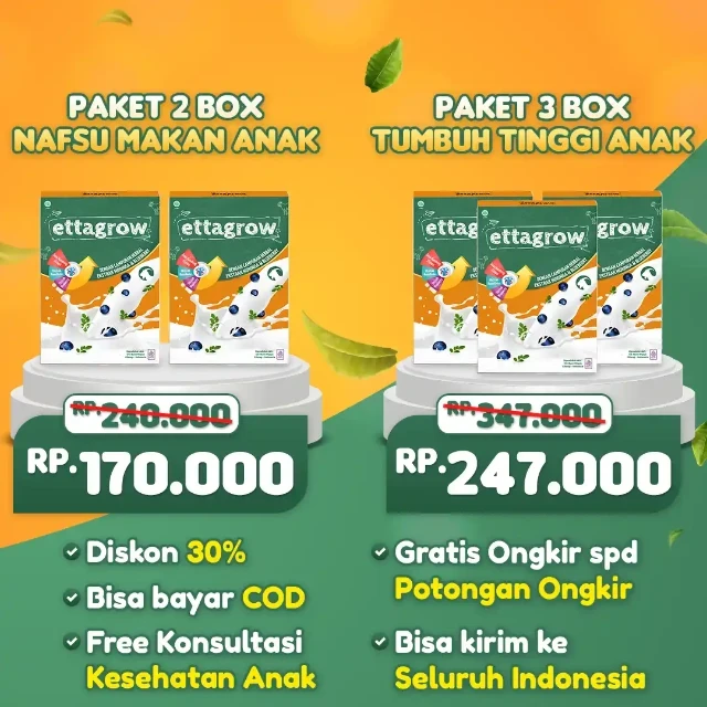 1760944314596-1758005782432-bundling 2 3 box