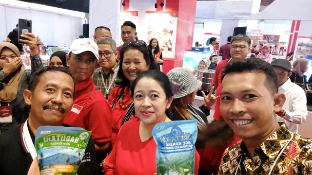 Growth and Milestones