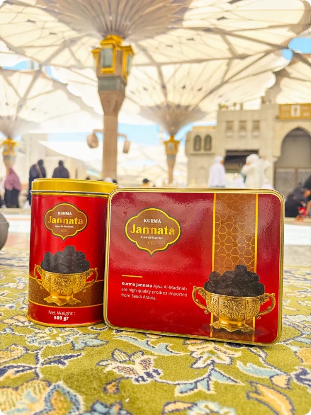 1757677124523-IMG_0544Fix_Used-modified