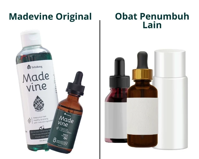 1754620754171-folikel (7)