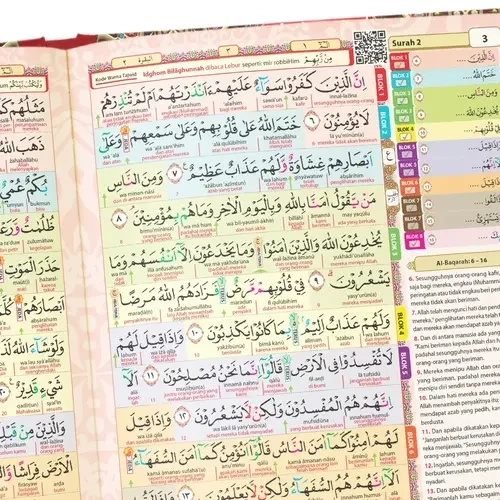 1753503922596-1736394318896-PerJuzA5-09-ezgif.com-resize