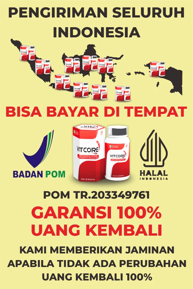 1759543804271-LP 2 DM 9