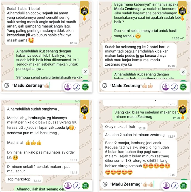 1758789279556-KP-NewStyle-ZM-08-5-6