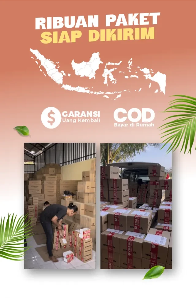 1759907845623-SCK05 LP YOUZHI 2.1 CUT 1.14