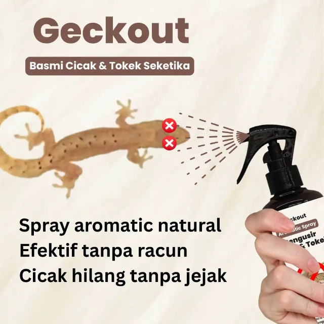 1759763581278-1756433025352-7