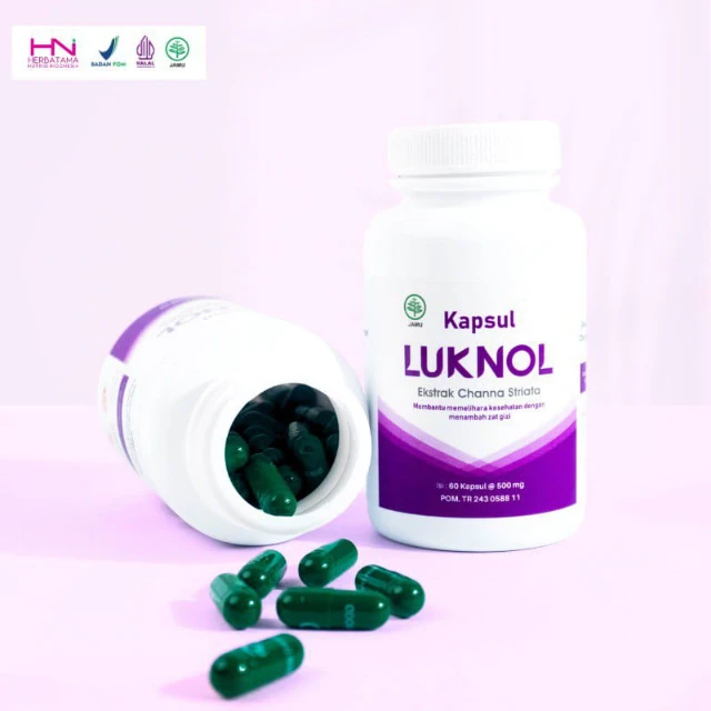 1754559858620-WhatsApp Image 2025-08-07 at 16.44.07