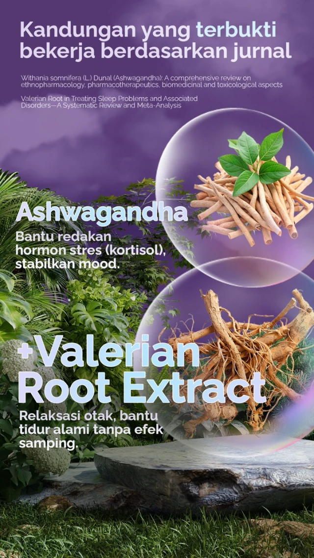 1751272786086-LP-ASHArtboard-6 Large