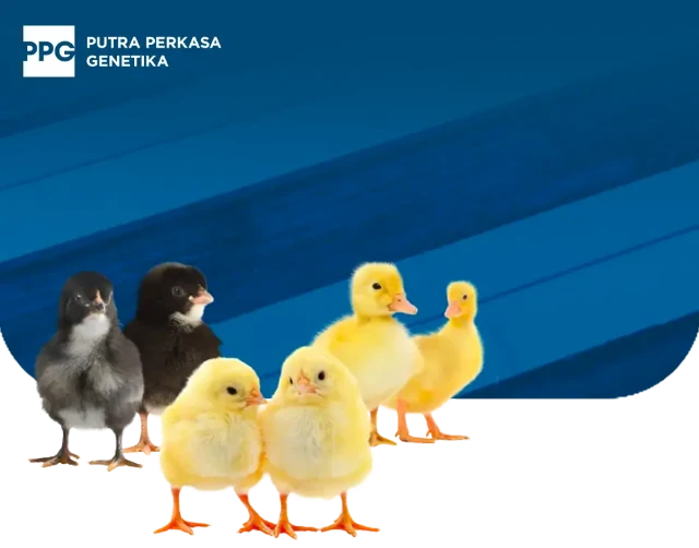 1751697285796-Produc