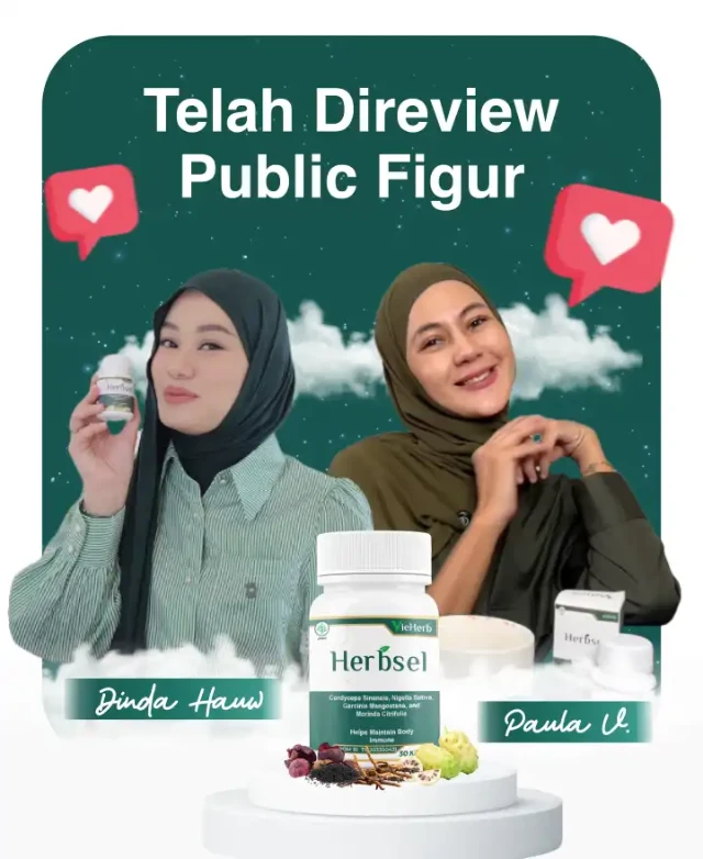 1755421250215-6-KOL_6_11zon