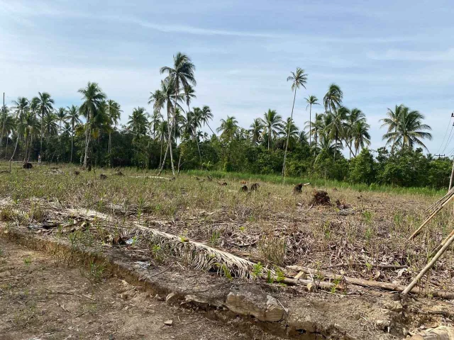 1756633921841-photo_2025-03-27_16-38-52 (1).webp