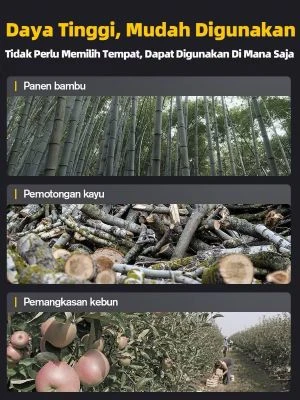 1759332341196-photo_2025-10-01_11-54-401