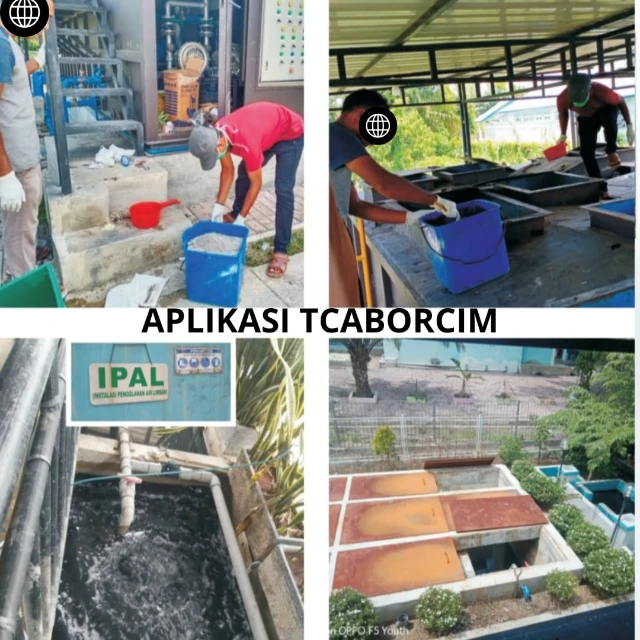 1755224263221-WhatsApp Image 2025-08-15 at 07.42.57.webp