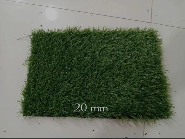 1757849664132-1756341074341-WhatsApp Image 2025-08-27 at 9.57.41 PM (1).webp