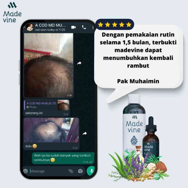 1754623117076-5 1.webp