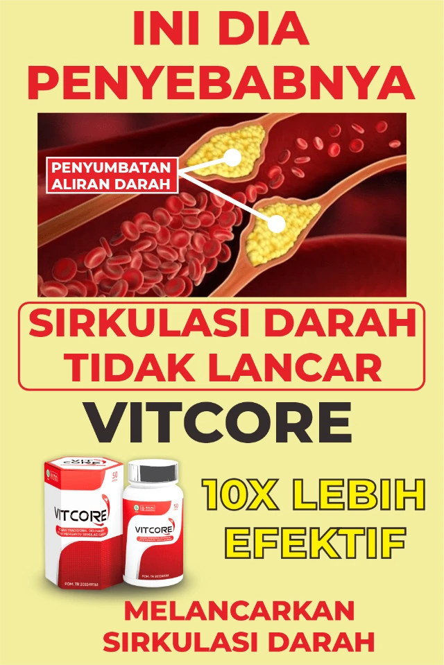 1759543757341-LP 2 DM 4