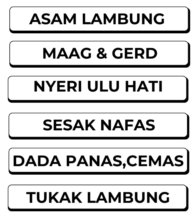 1755072128862-masalah lambung