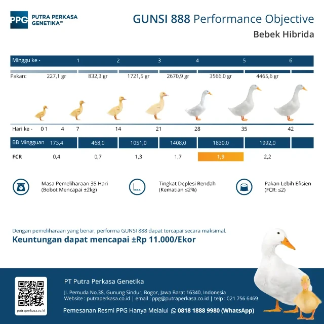 1751697747188-Bebek (1).webp