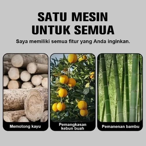 1761236554061-sg-11134201-7raup-mals9lxdxxme2e (1)