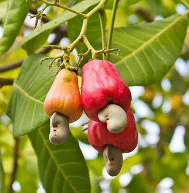 1761278446070-qhd3wo70oehda89