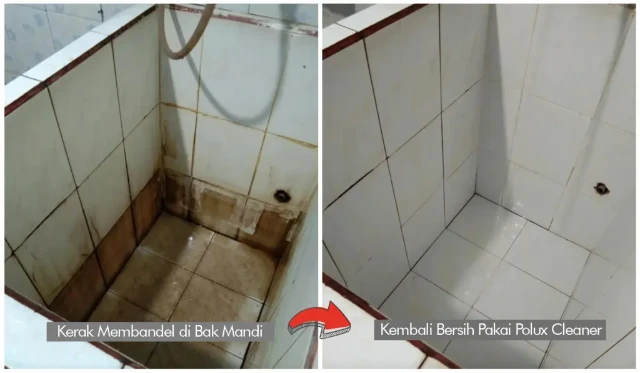 1762398893228-images_9225001736415051050