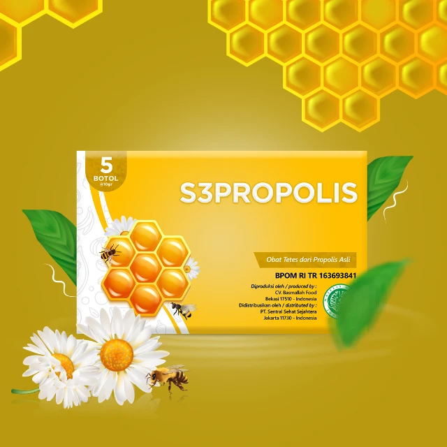 S3PROPOLIS