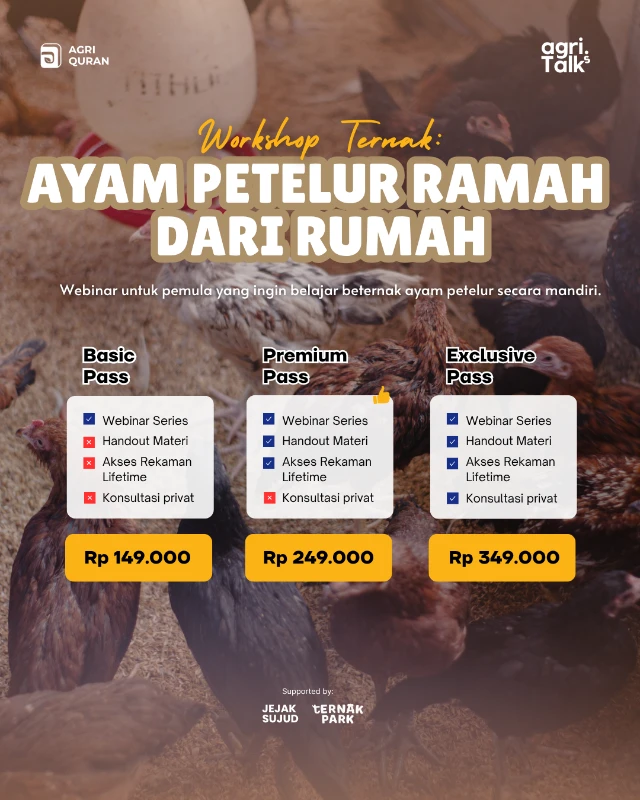 Workshop Ternak: Ayam Petelur Ramah dari Rumah 