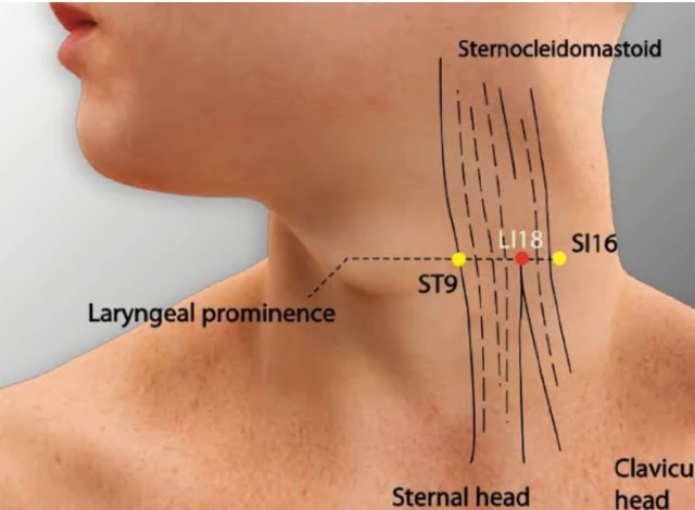 1762705735492-totok1