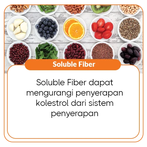 1763438519683-Soluble Fiber.webp