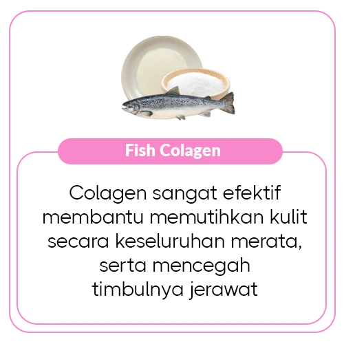 1763438785746-Fish Colagen.webp