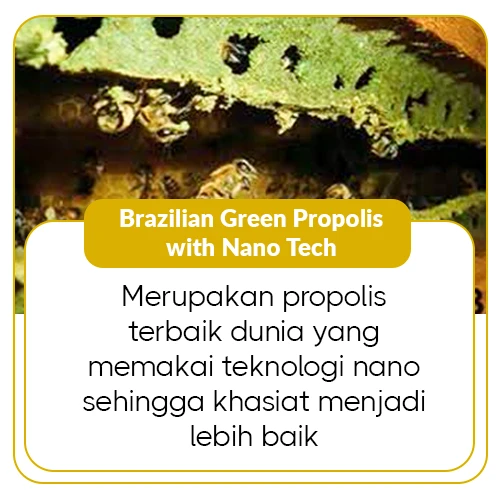 1763438938702-Brazilian Green Propolis.webp