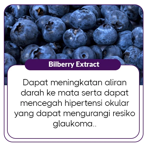 1763439003081-Bilberry Extract.webp