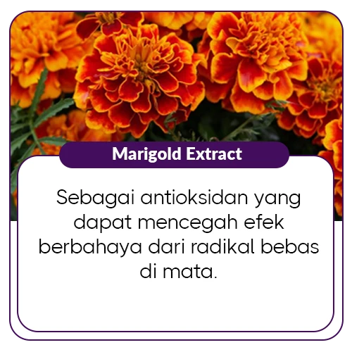 1763439007850-Marigold Extract.webp