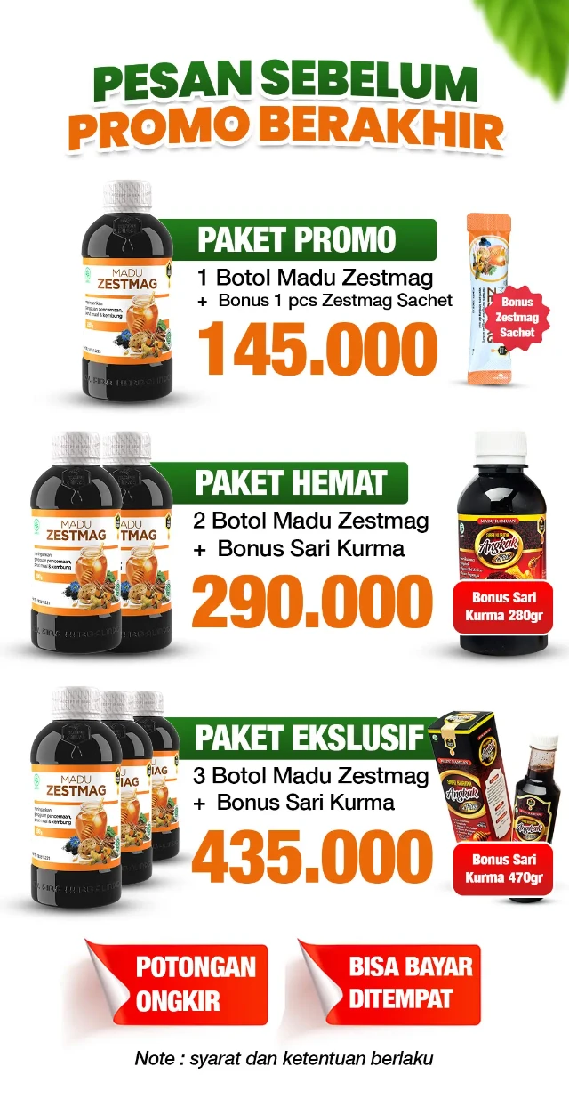 1763452227518-PAKET HARGA ZESTMAG